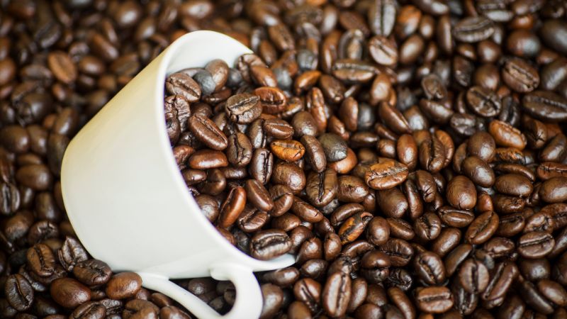 Giá cà phê trong nước hôm nay