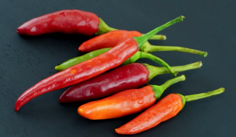 Giá ớt hôm nay 04/06/2024: Tạm thời chững giá