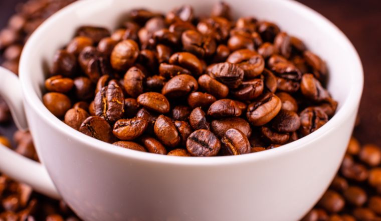 Giá cà phê hôm nay 04/06/2024: Tăng cao nhất 4.000 đồng/kg