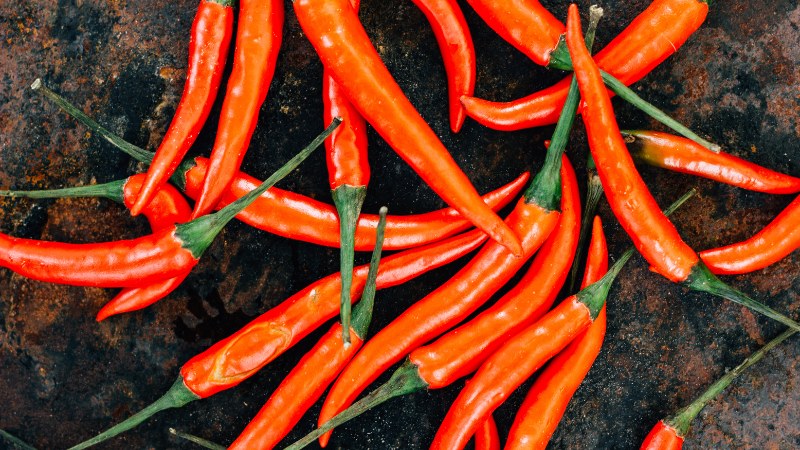 Giá ớt hôm nay 05/06/2024 cập nhật mới nhất