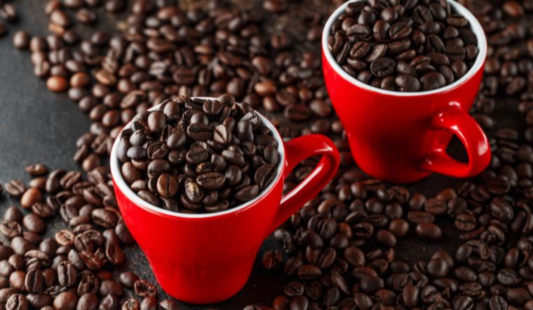 Giá cà phê hôm nay 06/06/2024: Cao nhất 126.500 đồng/kg