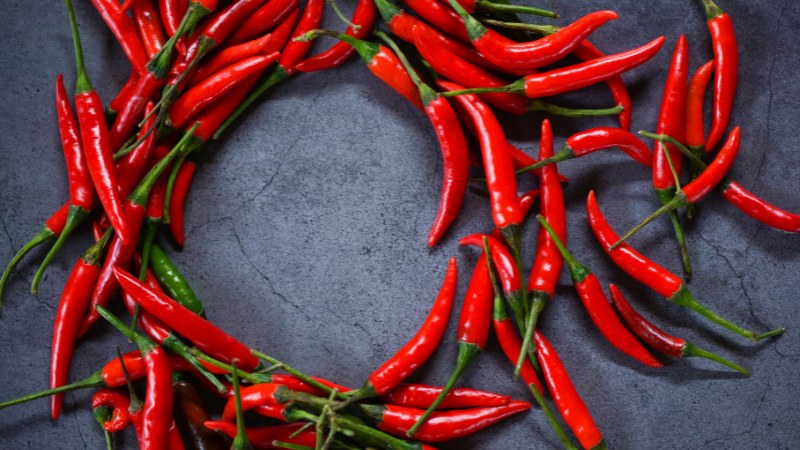 Giá ớt hôm nay 07/06/2024 cập nhật mới nhất