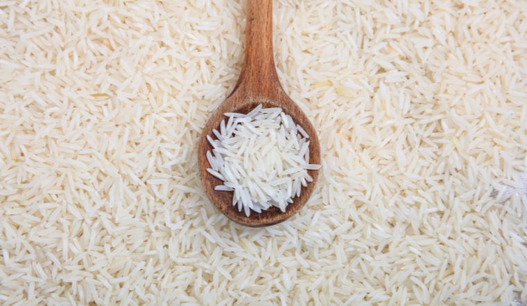 Giá lúa gạo hôm nay 07/6/2024: Tiếp tục đi ngang