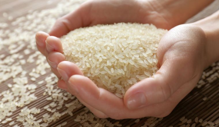 Giá lúa gạo hôm nay 08/6/2024: Đi ngang vào cuối tuần