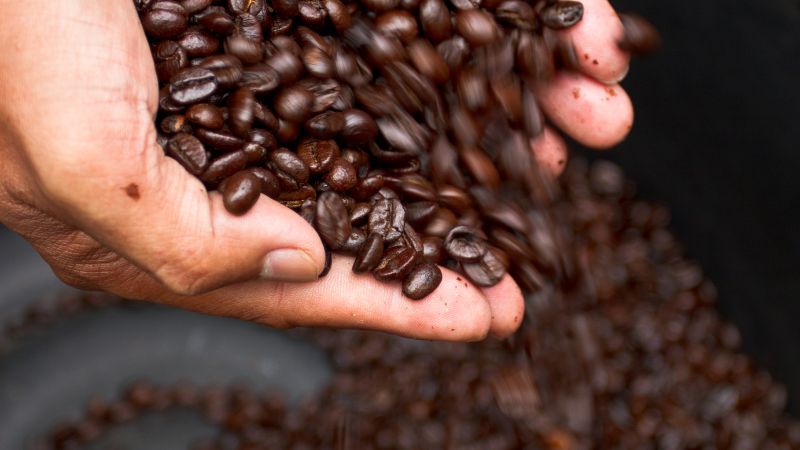 Giá cà phê trong nước hôm nay