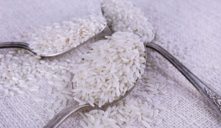 Giá lúa gạo hôm nay 10/6/2024: Tiếp tục ổn định