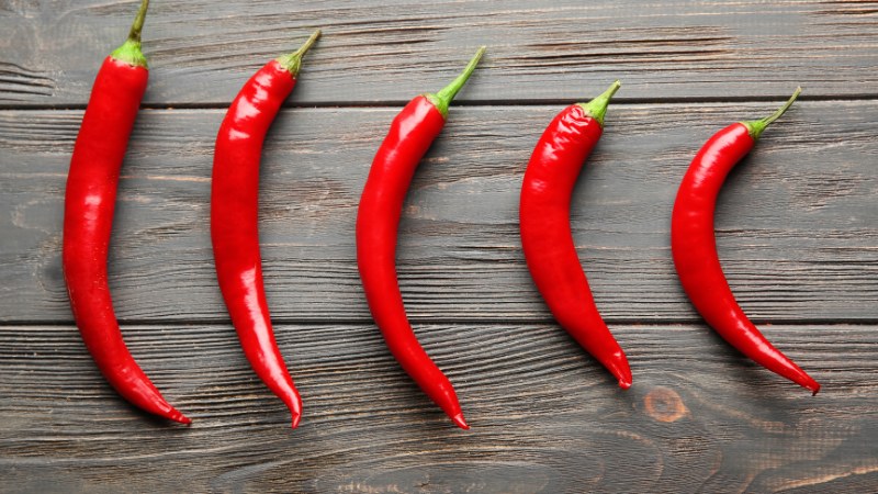 Giá ớt hôm nay 11/06/2024