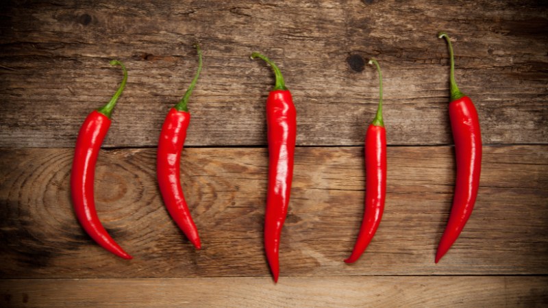 Giá ớt hôm nay 11/06/2024 cập nhật mới nhất