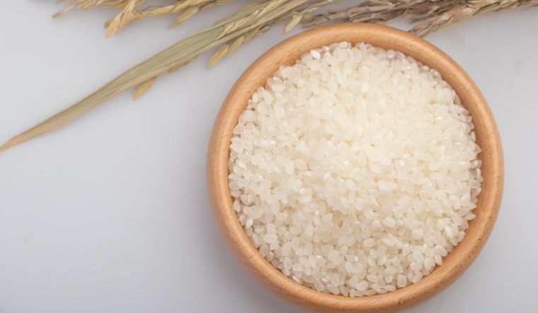 Giá lúa gạo hôm nay 11/6/2024: Giá gạo tăng