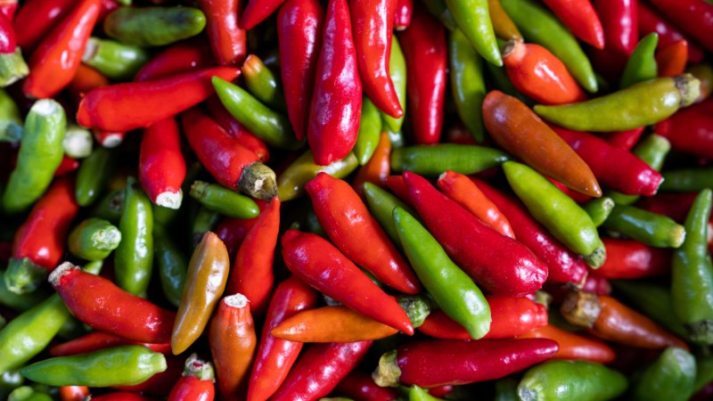 Giá ớt hôm nay 12/06/2024 mới nhất Giá ớt hôm nay 12/06/2024 mới nhất