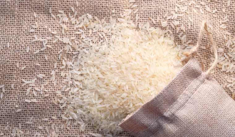 Giá lúa gạo hôm nay 14/6/2024: Tiếp tục đi ngang