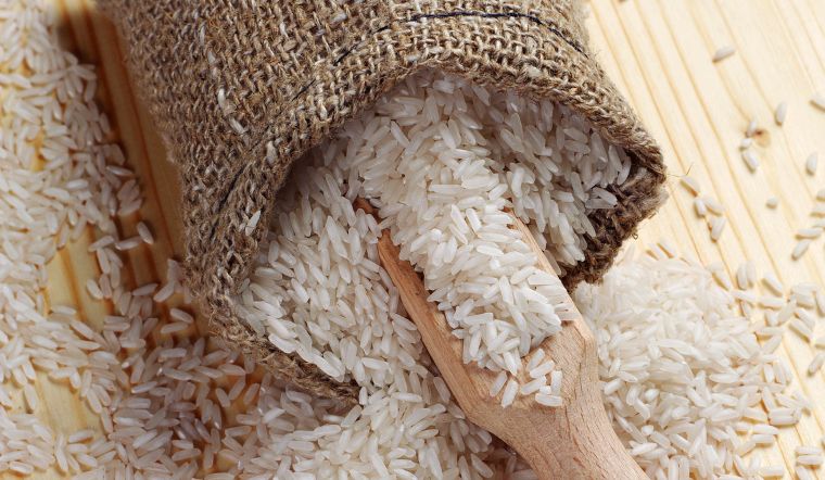 Giá lúa gạo hôm nay 15/6/2024: Duy trì mức ổn định