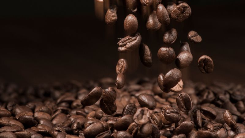 Giá cà phê trong nước hôm nay