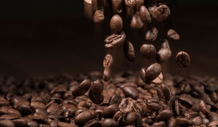 Giá cà phê hôm nay 15/06/2024: Giảm mạnh 1.600 đồng/kg