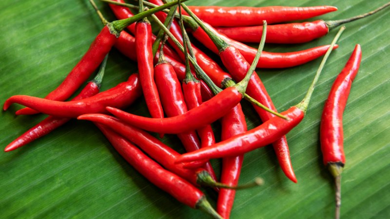 Giá ớt hôm nay 17/06/2024 mới nhất