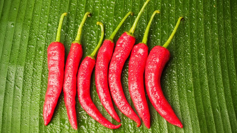 Giá ớt hôm nay 17/06/2024 cập nhật mới nhất