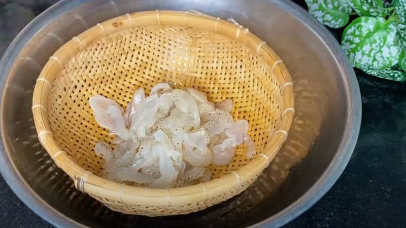 Preparing the Jellyfish