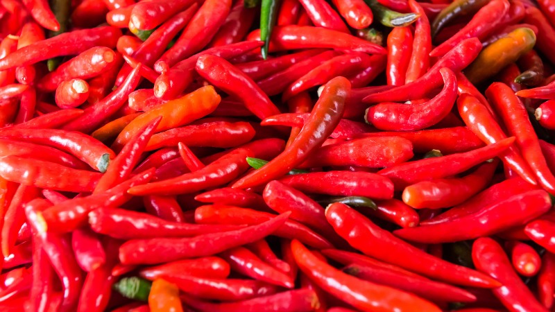 Giá ớt hôm nay 18/06/2024