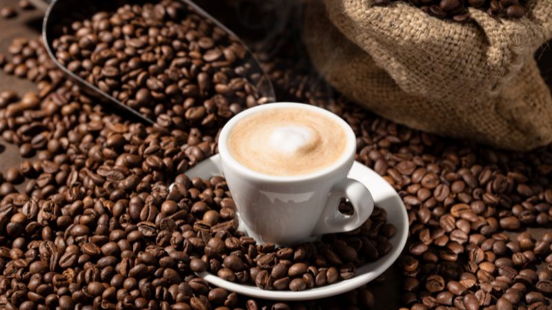 Giá cà phê trong nước hôm nay