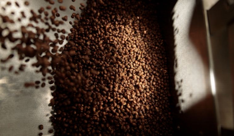 Giá cà phê hôm nay 19/06/2024: Giảm 1.200 đồng/kg