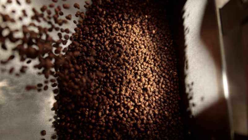 Giá cà phê trong nước hôm nay