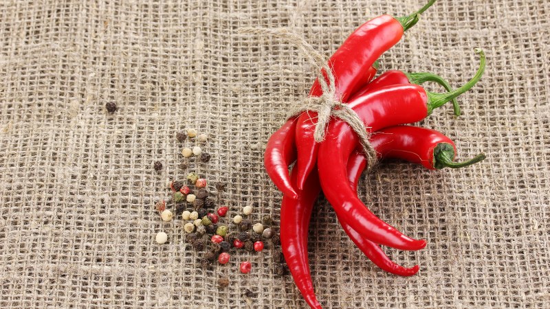 Giá ớt hôm nay 19/06/2024 cập nhật mới nhất