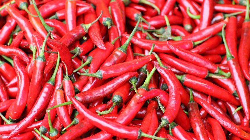 Giá ớt hôm nay 21/06/2024 cập nhật mới nhất