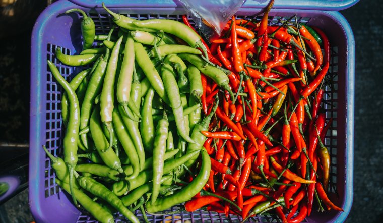 Giá ớt hôm nay 22/06/2024: Tạm yên ắng ở mức cao cuối tuần