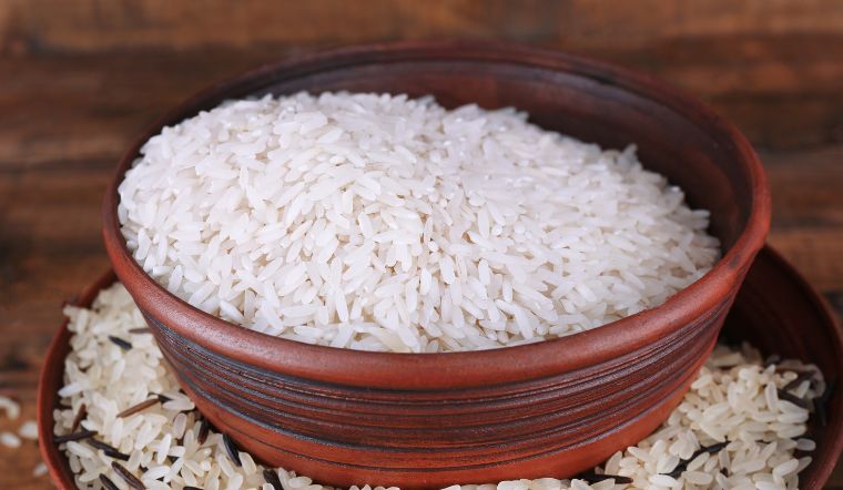 Giá lúa gạo hôm nay 24/6/2024: Lúa OM 5451 tăng 100 đồng/kg