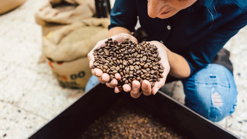 Giá cà phê Robusta giao dịch tại London