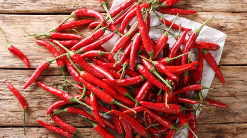 Giá ớt hôm nay 25/06/2024 cập nhật mới nhất