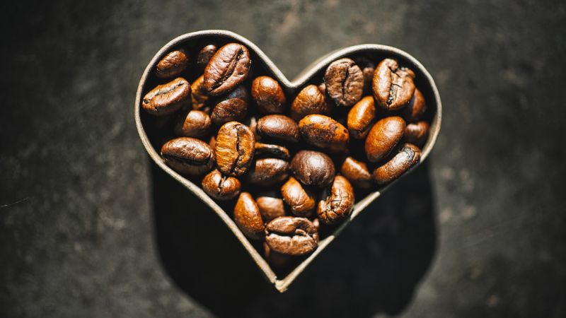 Giá cà phê trong nước hôm nay