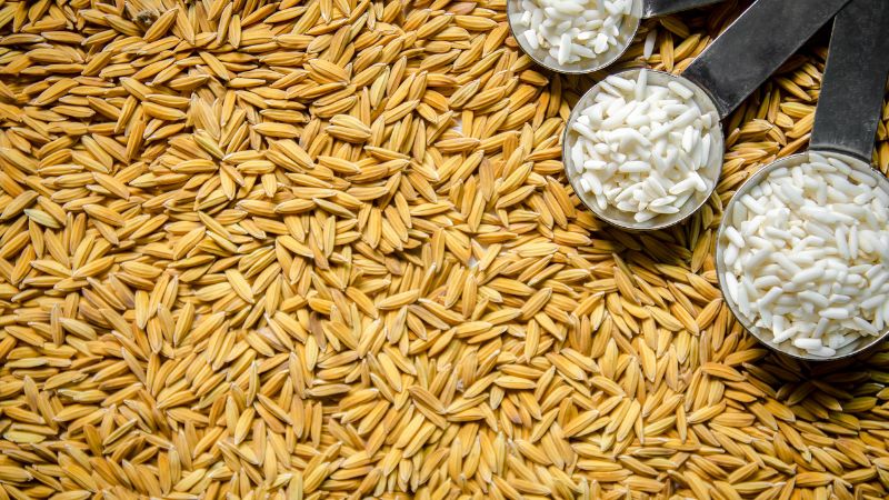 Giá gạo hôm nay 27/6