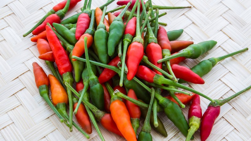 Giá ớt hôm nay 28/06/2024 cập nhật mới nhất