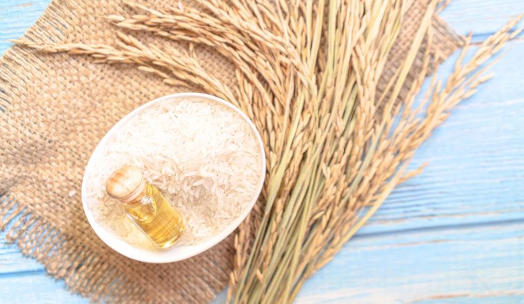 Giá lúa gạo hôm nay 28/6/2024: Không có biến động