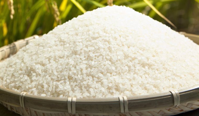 Giá lúa gạo hôm nay 29/6/2024: Tiếp tục chững giá