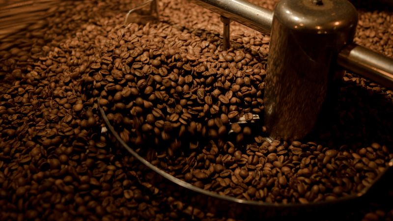 Giá cà phê trong nước hôm nay