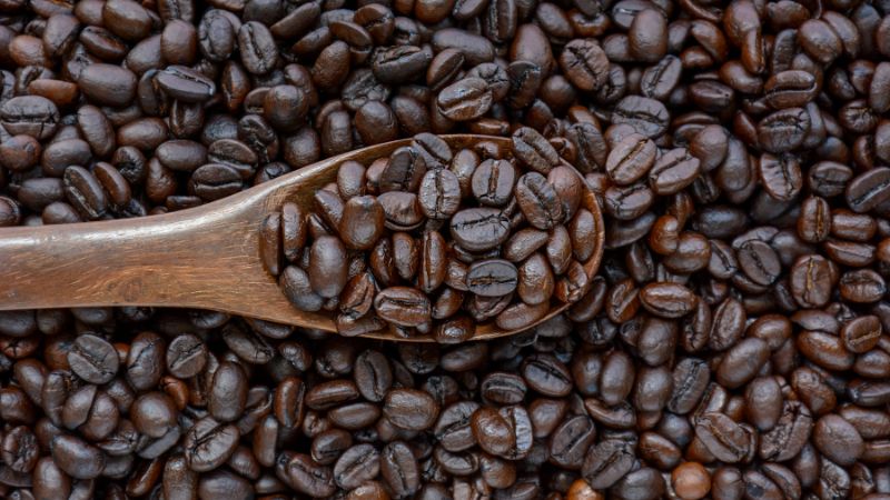 Giá cà phê trong nước hôm nay