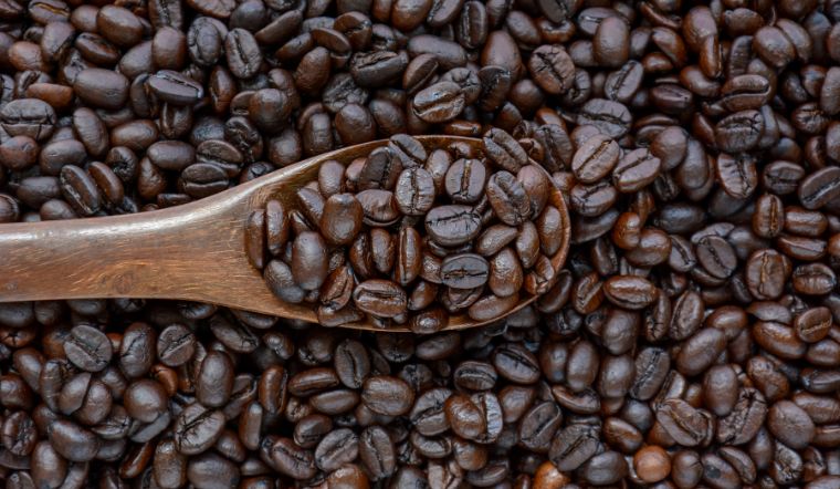 Giá cà phê hôm nay 04/07/2024: Điều chỉnh giảm từ 400 đồng/kg