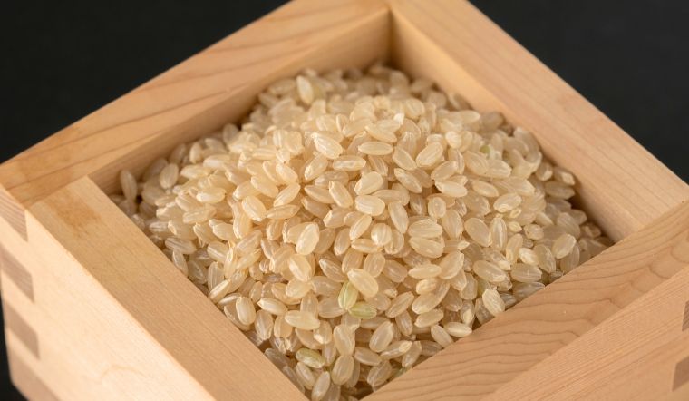 Giá lúa gạo hôm nay 04/7/2024: Lúa IR 50404 giảm 100 đồng/kg