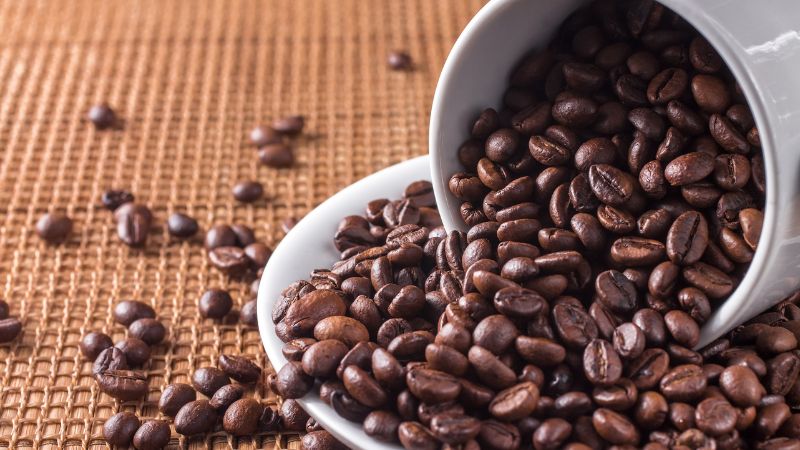 Giá cà phê trong nước hôm nay