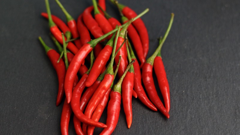 Giá ớt hôm nay 08/07/2024 mới nhất Giá ớt hôm nay 08/07/2024 mới nhất