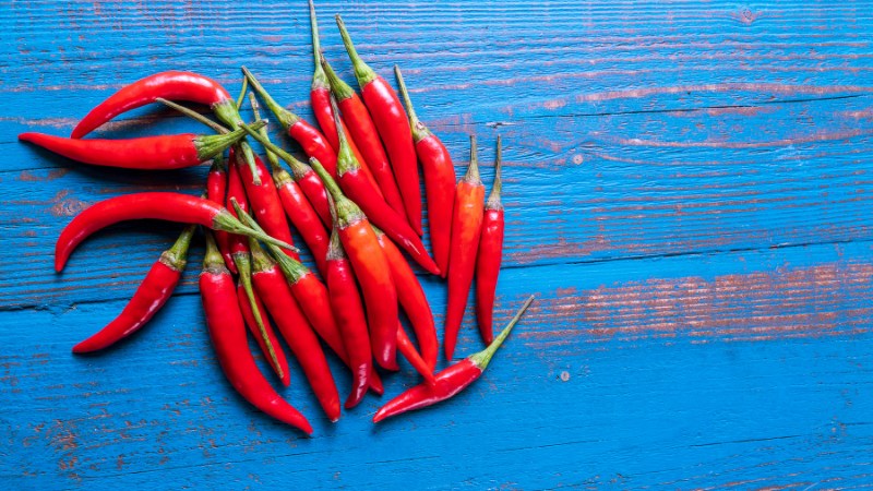 Giá ớt hôm nay 08/07/2024 Giá ớt hôm nay 08/07/2024