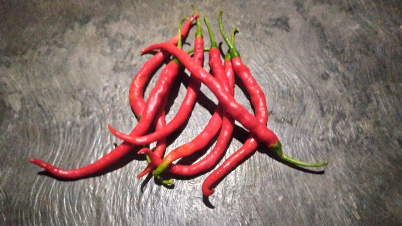 Giá ớt hôm nay 08/07/2024 cập nhật mới nhất Giá ớt hôm nay 08/07/2024 cập nhật mới nhất