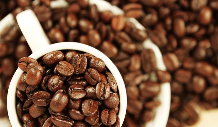 Giá cà phê hôm nay 08/07/2024: Tăng từ 500 - 600 đồng/kg