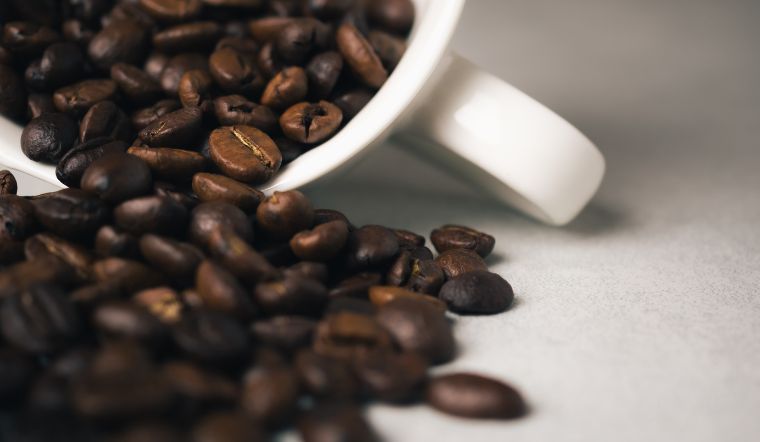 Giá cà phê hôm nay 09/07/2024: Điều chỉnh thêm 1.600 đồng/kg