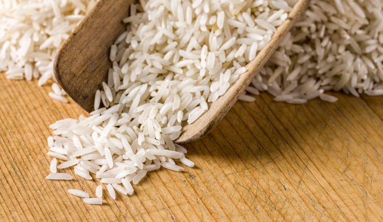 Giá lúa gạo hôm nay 09/7/2024: Vẫn ổn định