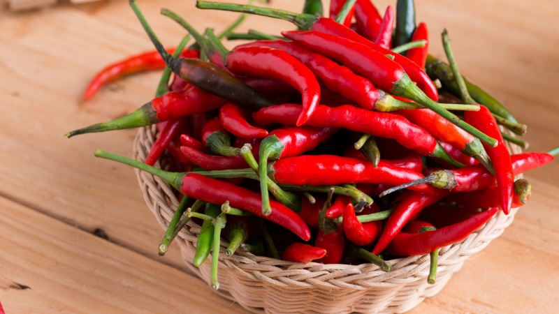 Giá ớt hôm nay 10/07/2024 mới nhất