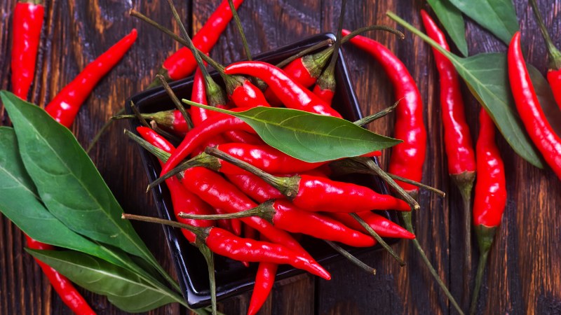 Giá ớt hôm nay 11/07/2024 mới nhất