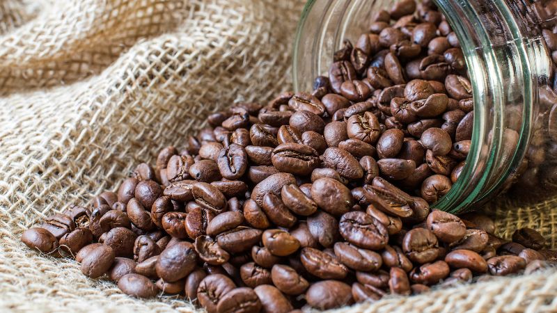 Giá cà phê trong nước hôm nay